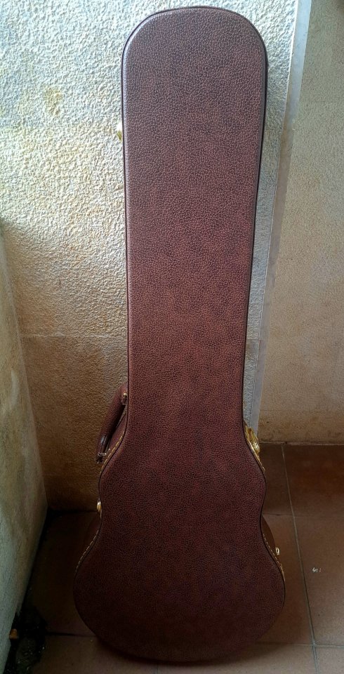 SIRE L7 - Larry Carlton WH + upgrades + funda Gator