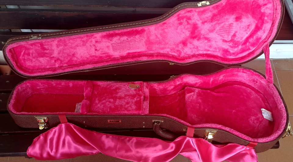 SIRE L7 - Larry Carlton WH + upgrades + funda Gator