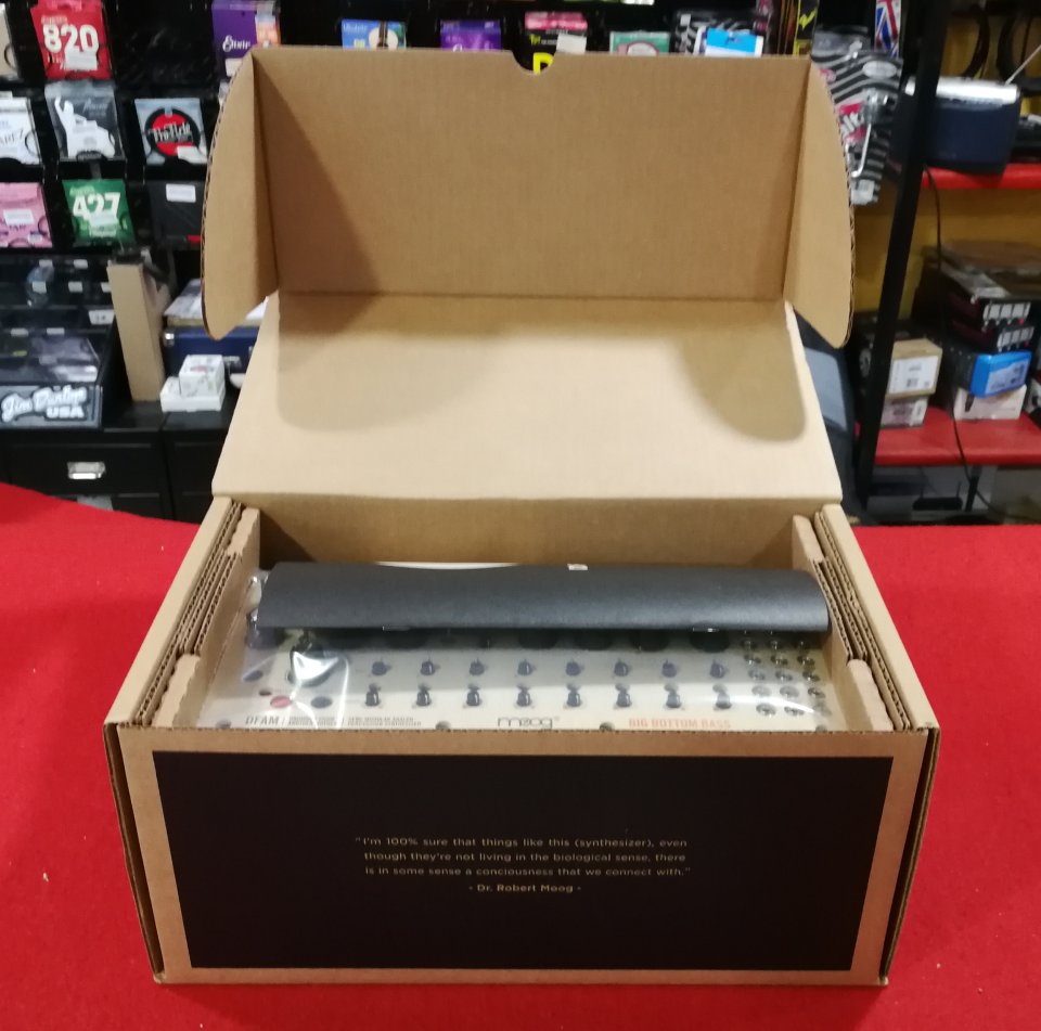 Moog Dfam ( Nuevo Liquidación )