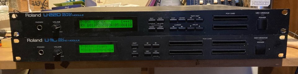 roland U-220 y U-110