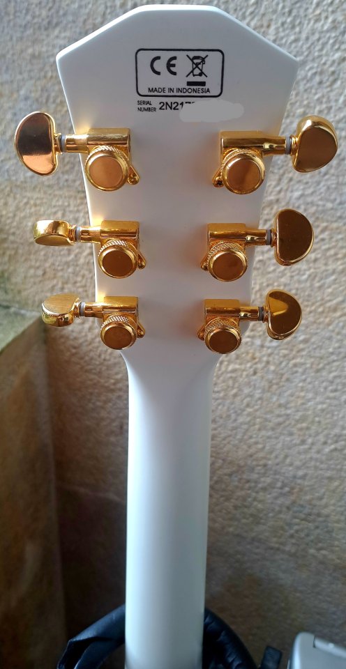 SIRE L7 - Larry Carlton WH + upgrades + funda Gator