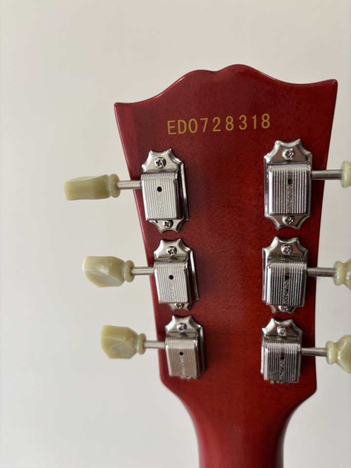 Edwards E-LP-108LTS. Pastillas Manlius T-Top de segunda mano · Foto 3 de 9 · Cantabria · 925 €
