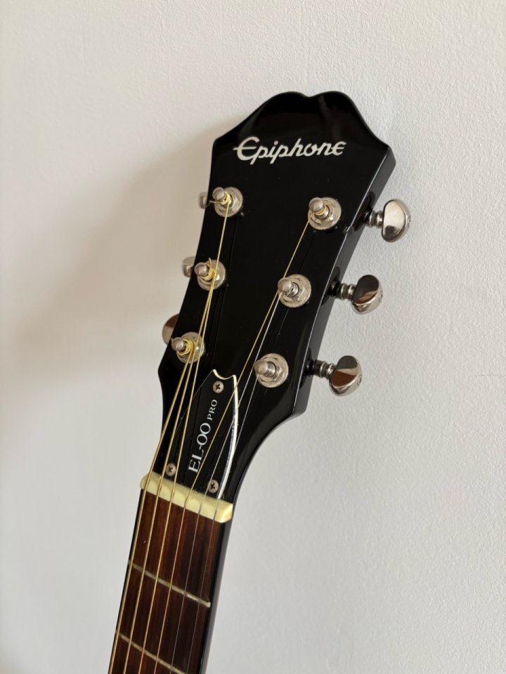 Epiphone EL-00 Pro