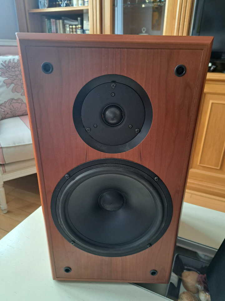 Altavoces Pulsar MV (cambio por guitarra / bajo)