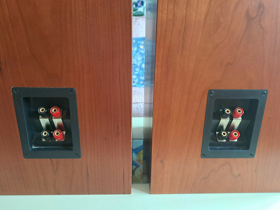 Altavoces Pulsar MV (cambio por guitarra / bajo)