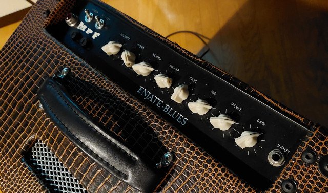 ¡MEGAOFERTA! MPF Classic Reverb Custom Snake Skin 12W envío incluido