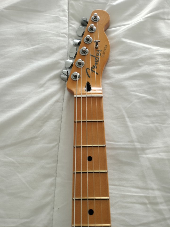 Fender player telecaster plus de segunda mano · Foto 5 de 7 · Albacete · 700 €