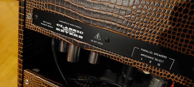 ¡MEGAOFERTA! MPF Classic Reverb Custom Snake Skin 12W envío incluido