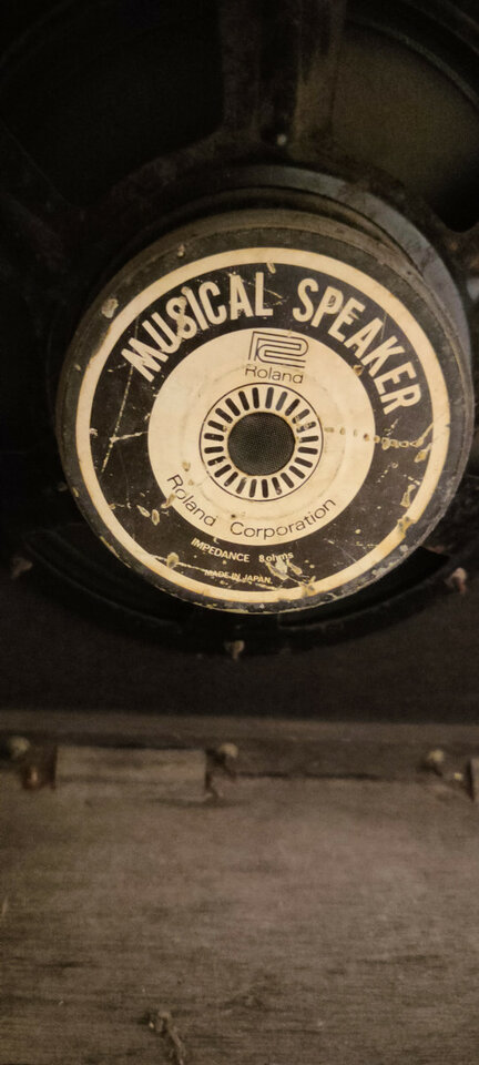 Roland Jazz Chorus JC-120 2x12