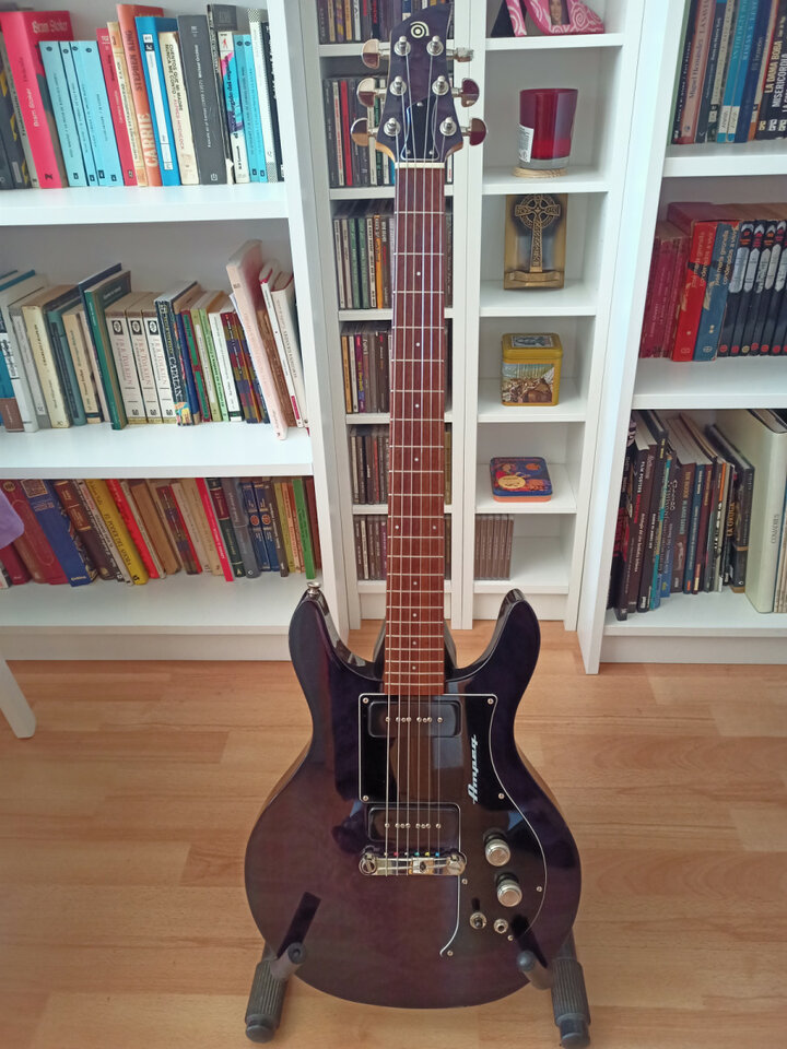 Ampeg amg1 (RESERVADA)