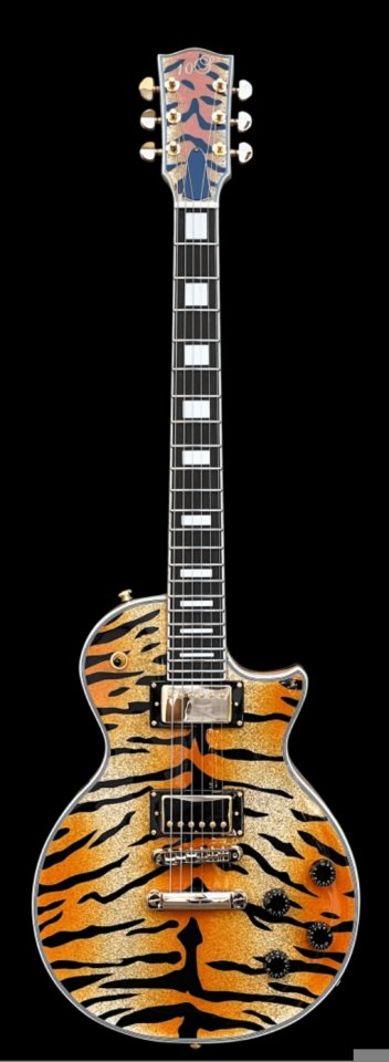 Busco guitarra tigre 10s de segunda mano · Tarragona