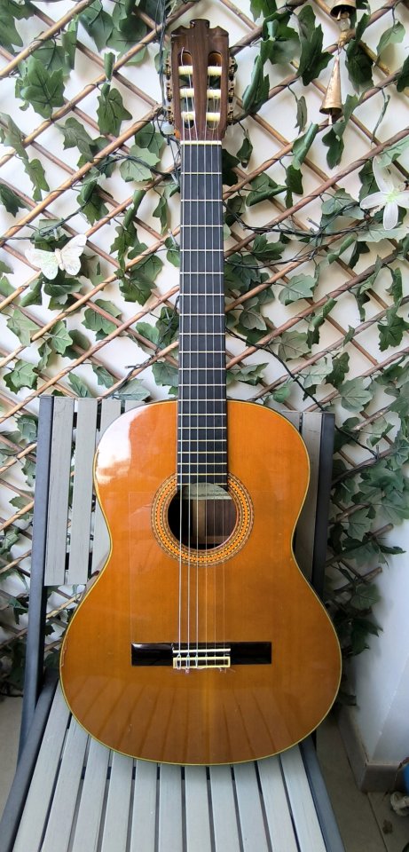 ¡OFERTÓN! Alhambra 11C Envío incluido