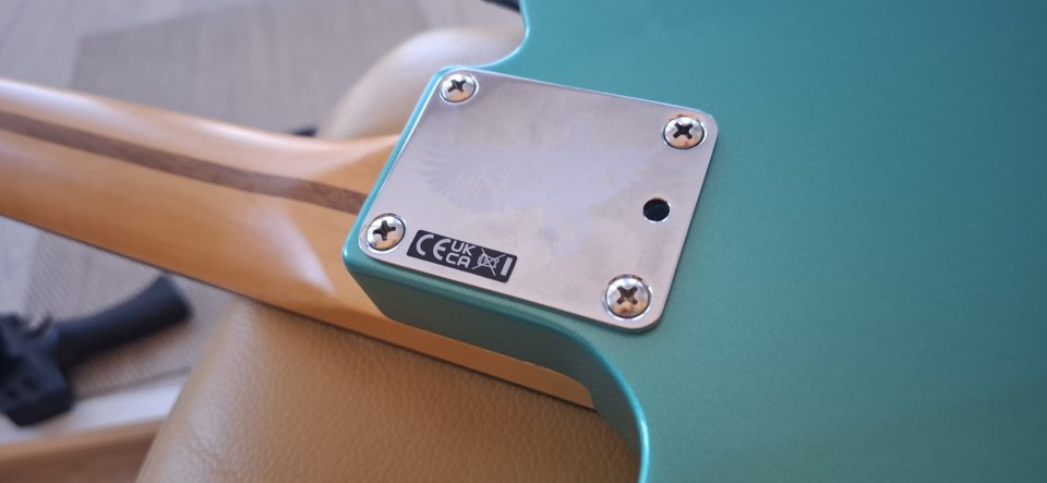 Susan Tedeschi Telecaster.