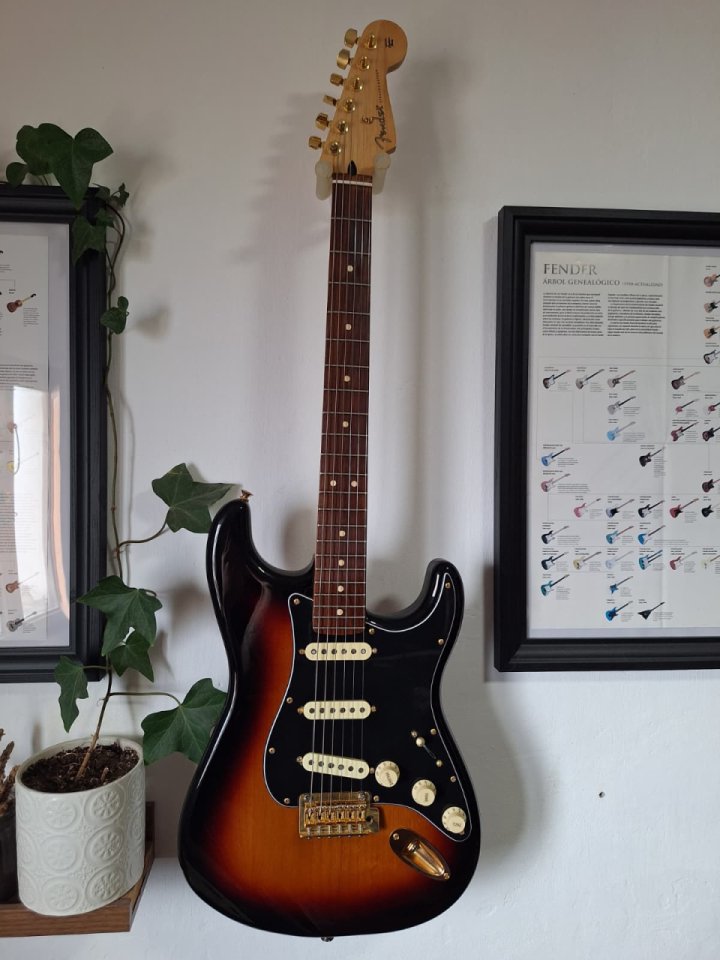 Fender Stratocaster Player Edición Limitada con FAT50