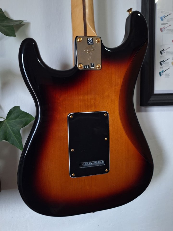 Fender Stratocaster Player Edición Limitada con FAT50