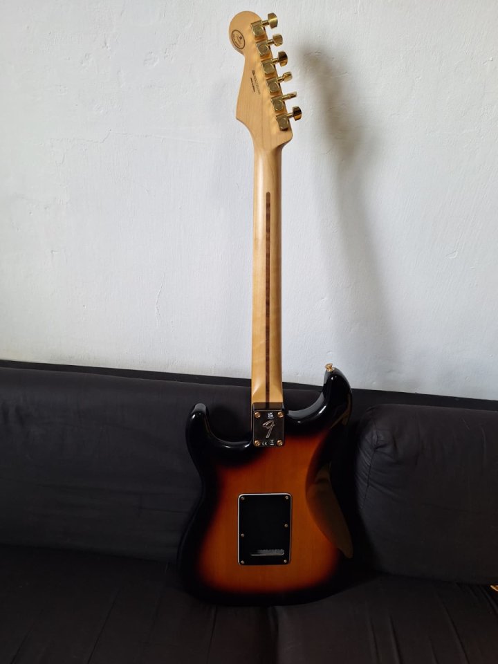 Fender Stratocaster Player Edición Limitada con FAT50