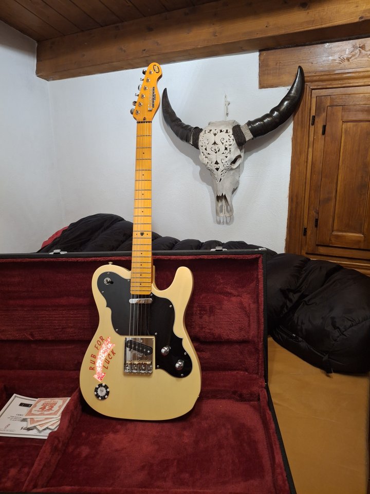 Telecaster The Gambler