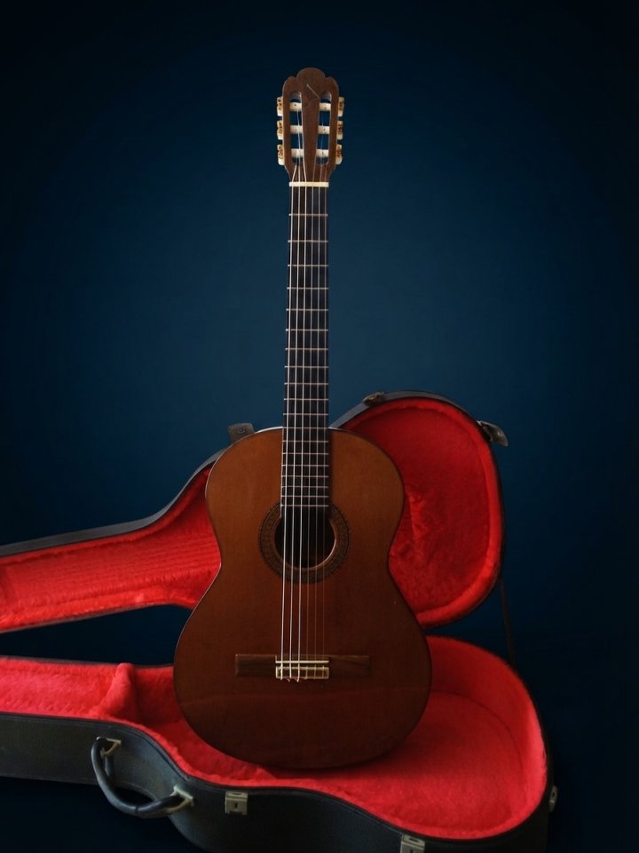 Guitarra clásica de luthier — Julián Espinosa (1989) de segunda mano · Foto 6 de 9 · Castellón · 1500 €