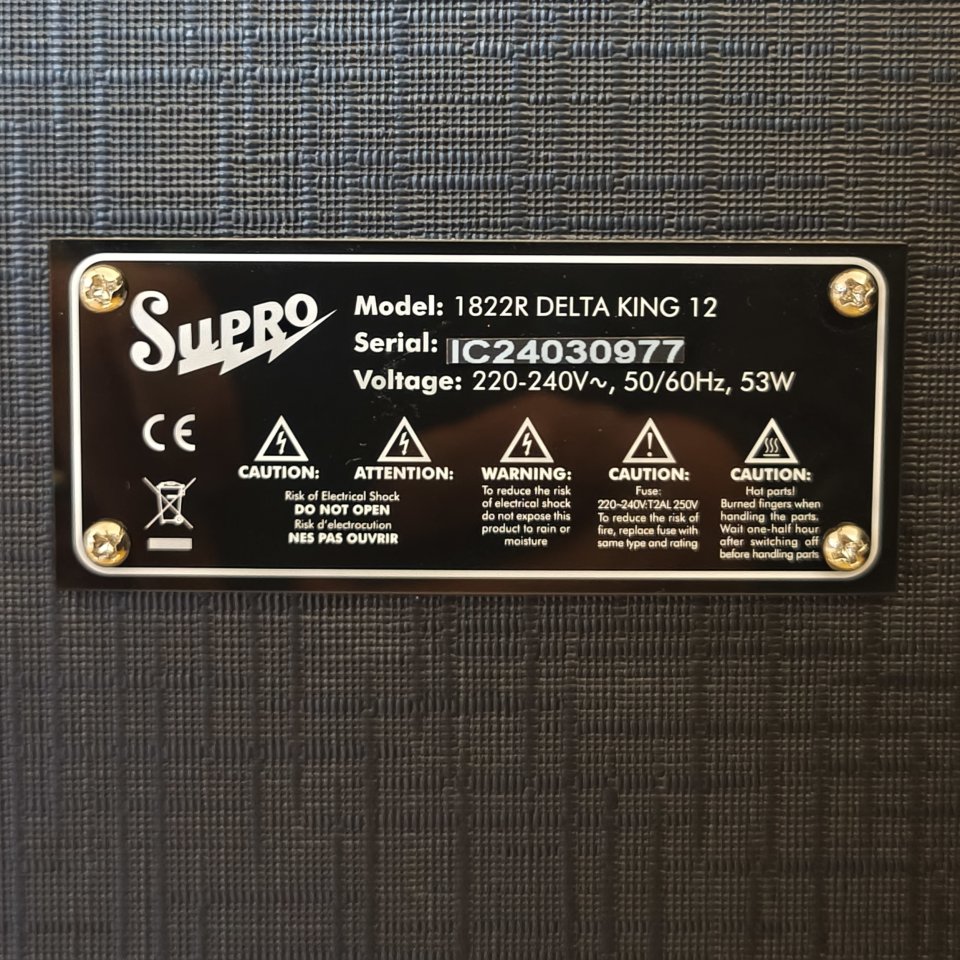 Supro Delta King 12