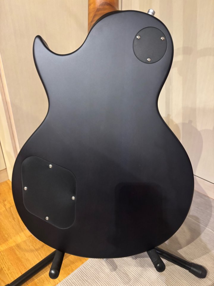 Harley benton agufish signature