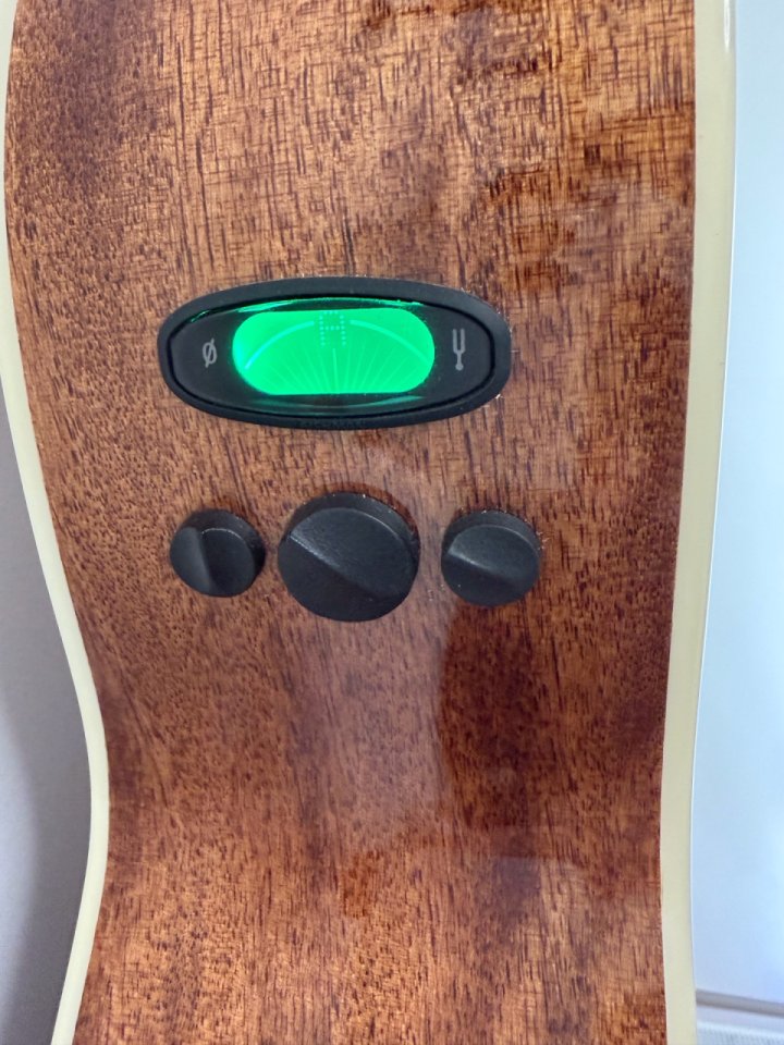 Fender Paramount PM-2E Standard Natural