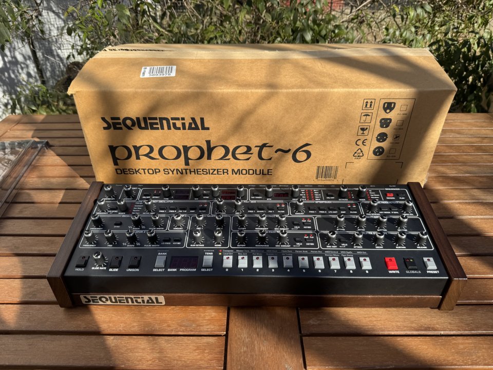 Dave Smith Prophet-6 + Decksaver | Analógico Puro | Con Garantía