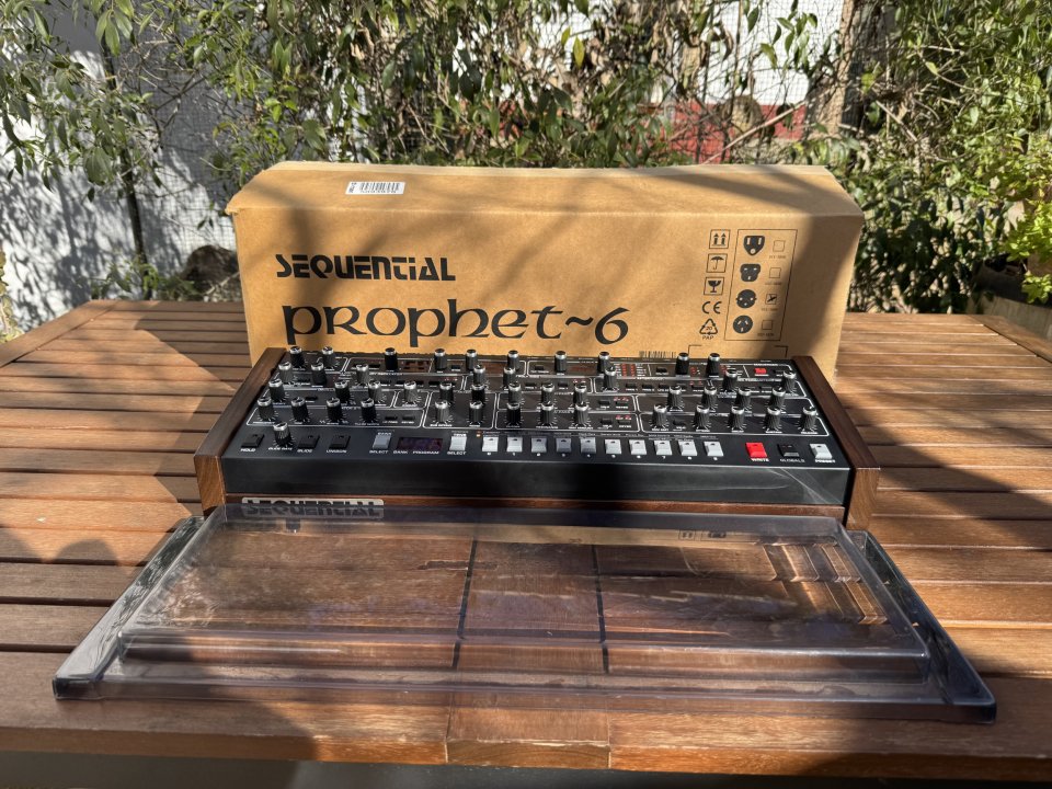 Dave Smith Prophet-6 + Decksaver | Analógico Puro | Con Garantía