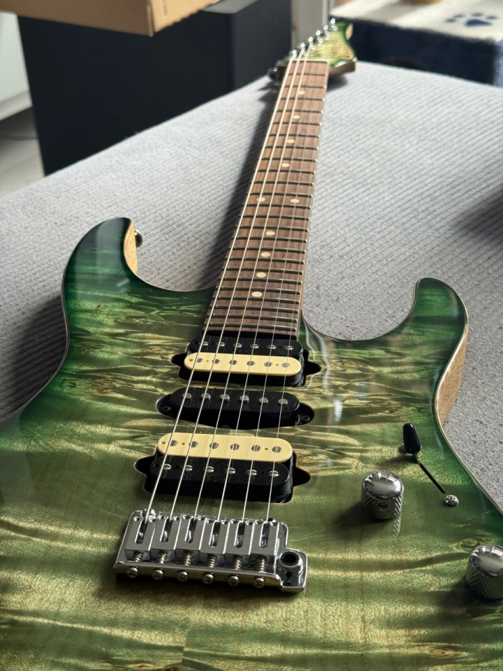 Suhr Modern Custom