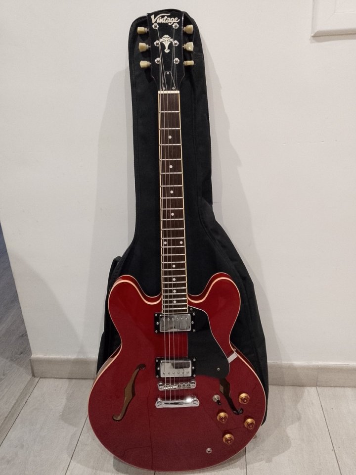 ES335 Vintage VSA 525