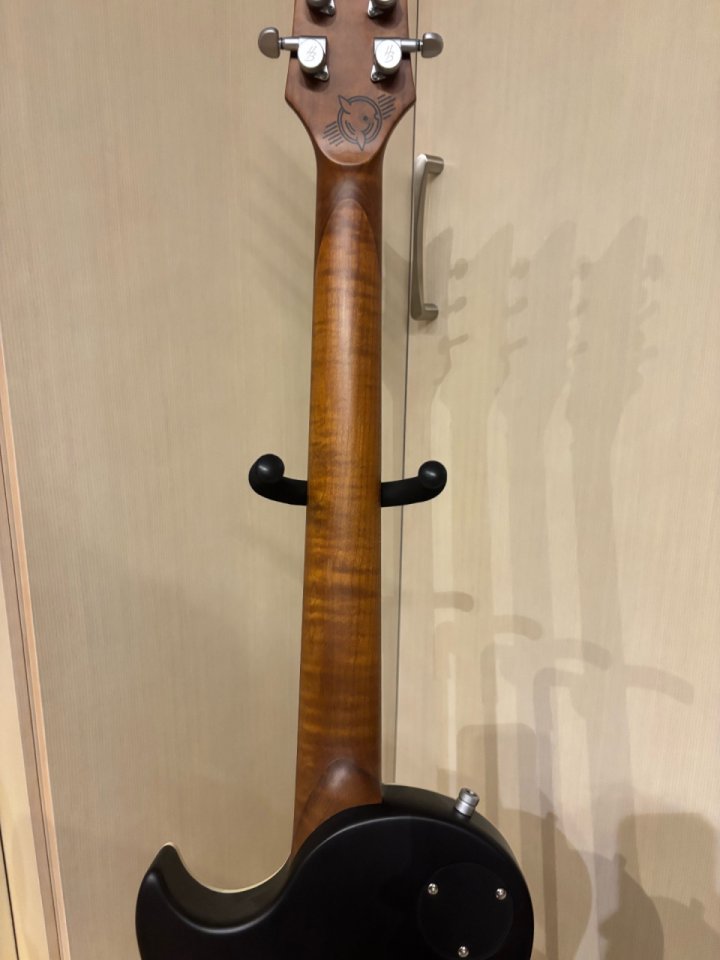 Harley benton agufish signature