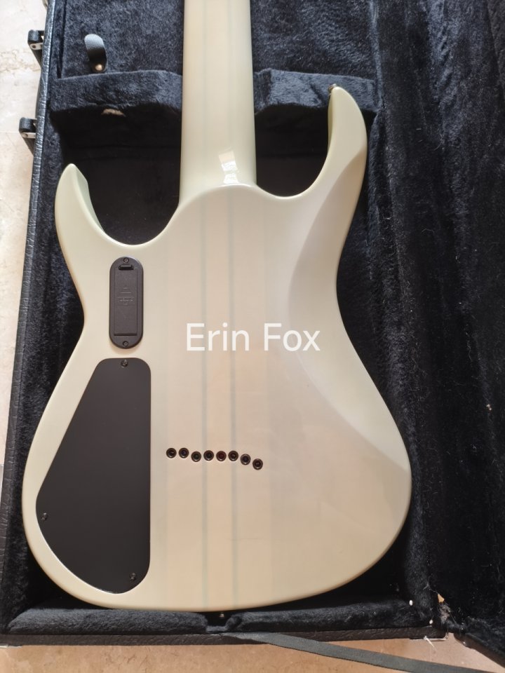 Guitarra 8 cuerdas Agile