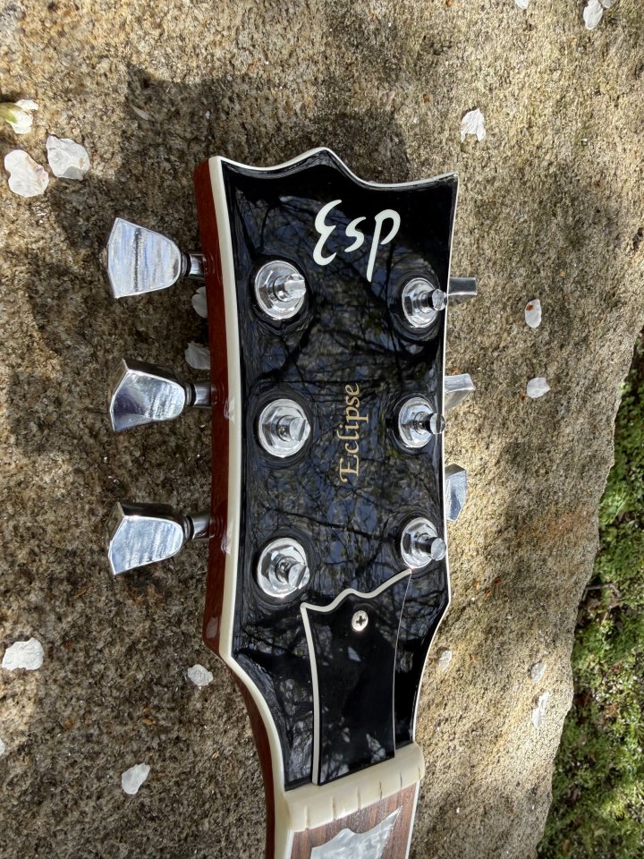 ESP Eclipse Standard