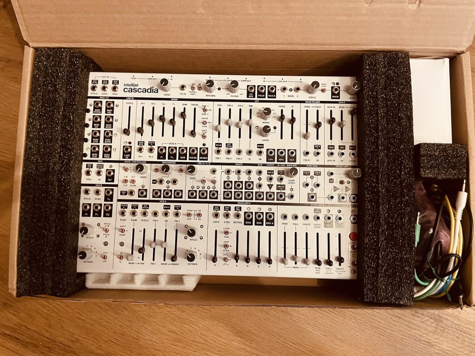 Sintetizador Intellijel Designs Cascadia