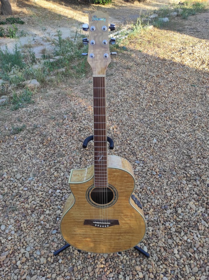 Ibanez EW20L de segunda mano · Murcia · 150 €