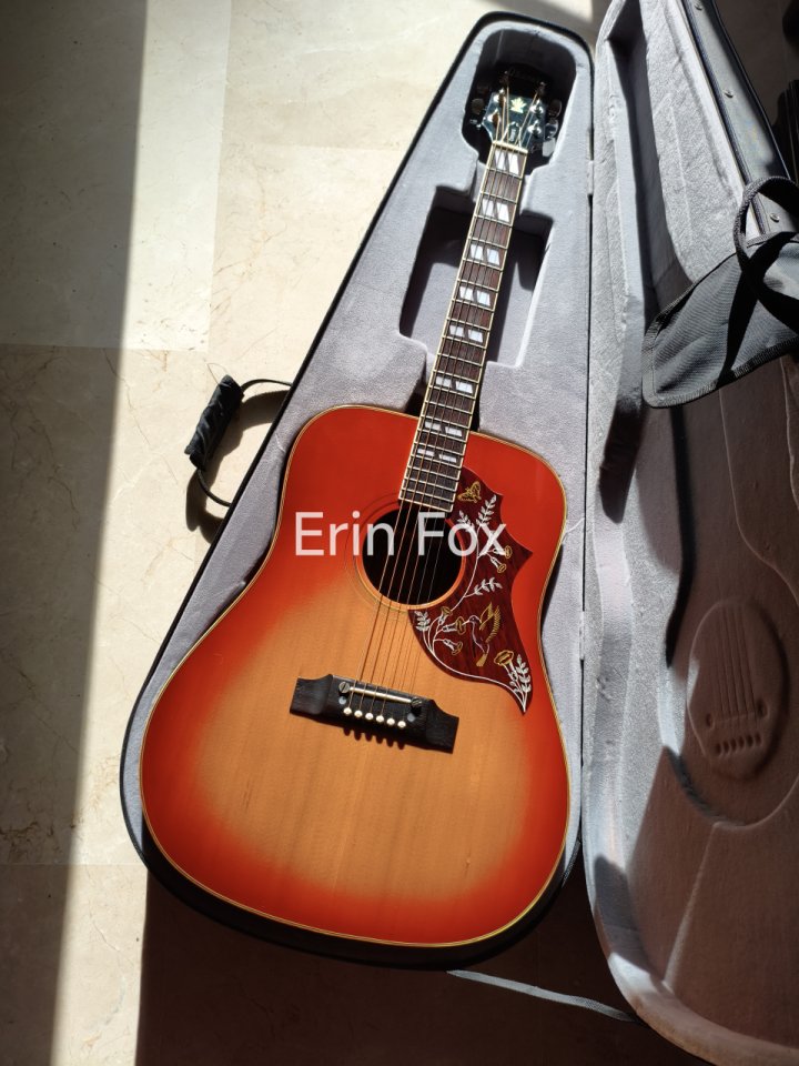 Ibanez Concord 684 Hummingbird 1977