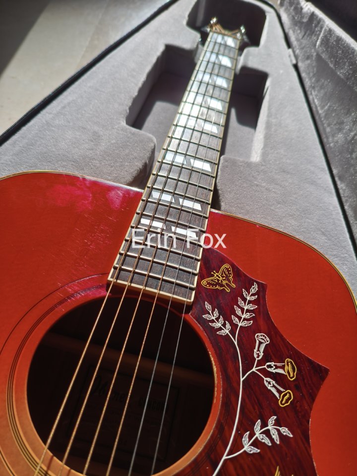 Ibanez Concord 684 Hummingbird 1977