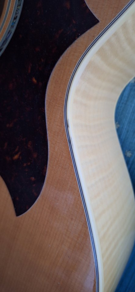 Takamine Eg523sc 12 cuerdas por semihollow de segunda mano · Foto 5 de 6 · Murcia