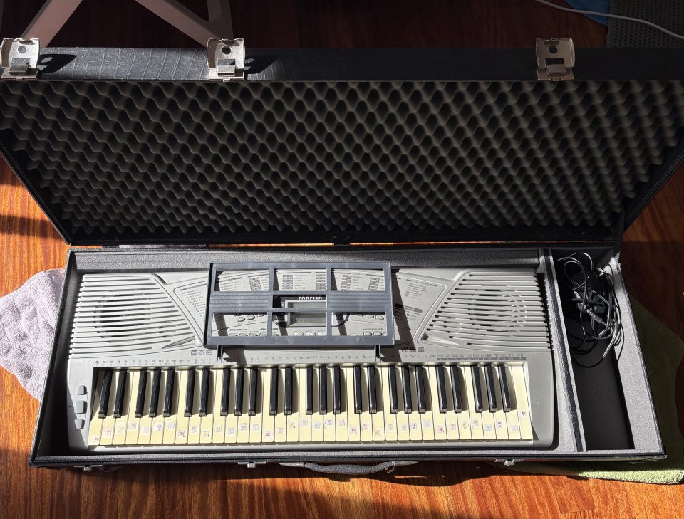 Teclado Farfisa + Funda de segunda mano · Pontevedra · 50 €