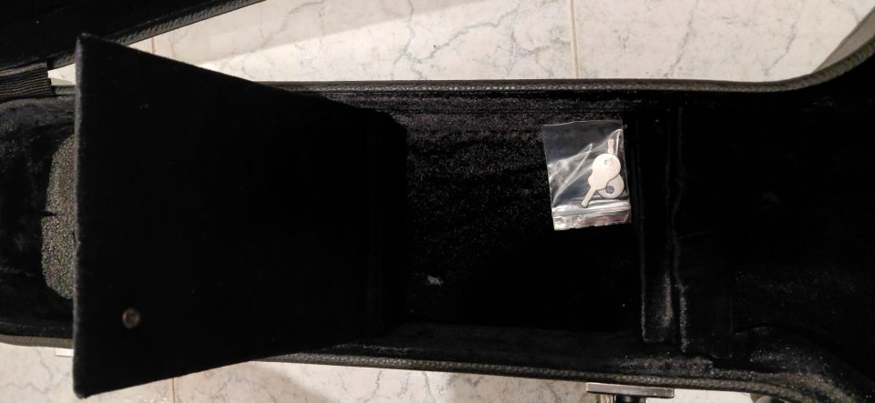 Estuche Thomann para guitarras tipo 335 de segunda mano · Foto 6 de 9 · Madrid · 60 €