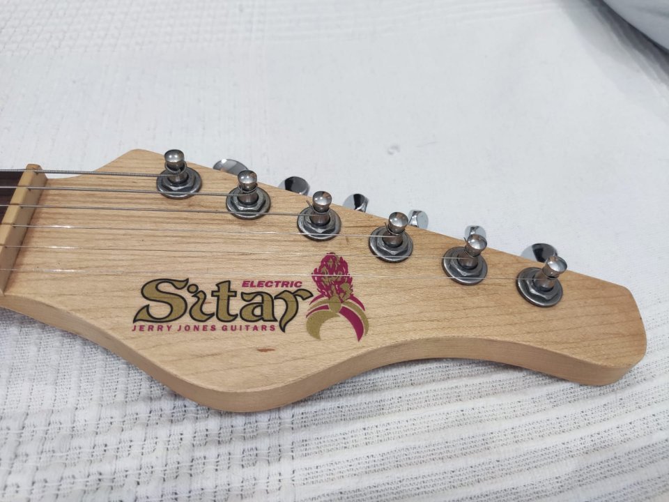Electric Sitar de segunda mano · Foto 1 de 10 · Alicante · 1800 €