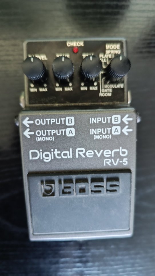 Boss Digital Reverb RV-5 de segunda mano · Foto 1 de 2 · Cádiz · 95 €
