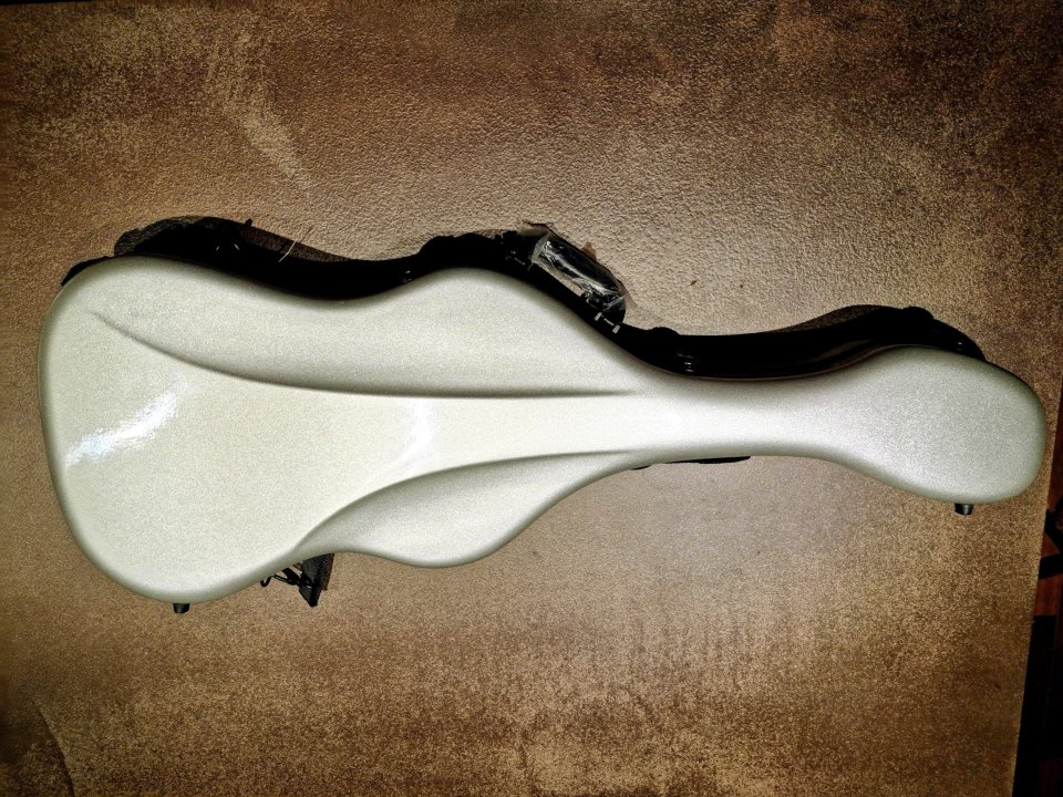 Estuche fibra carbono para guitarra eléctrica