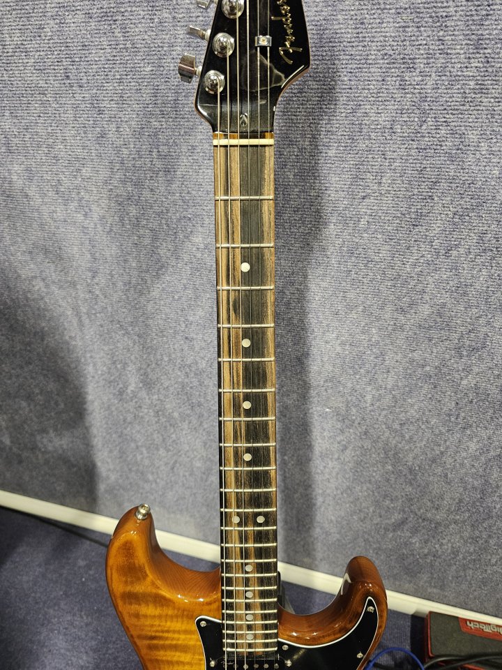 Fender Stratocaster American Ultra Luxe Tiger Eye