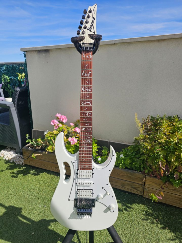Vendo/Cambio guitarra Ibanez Steve Vai Signature