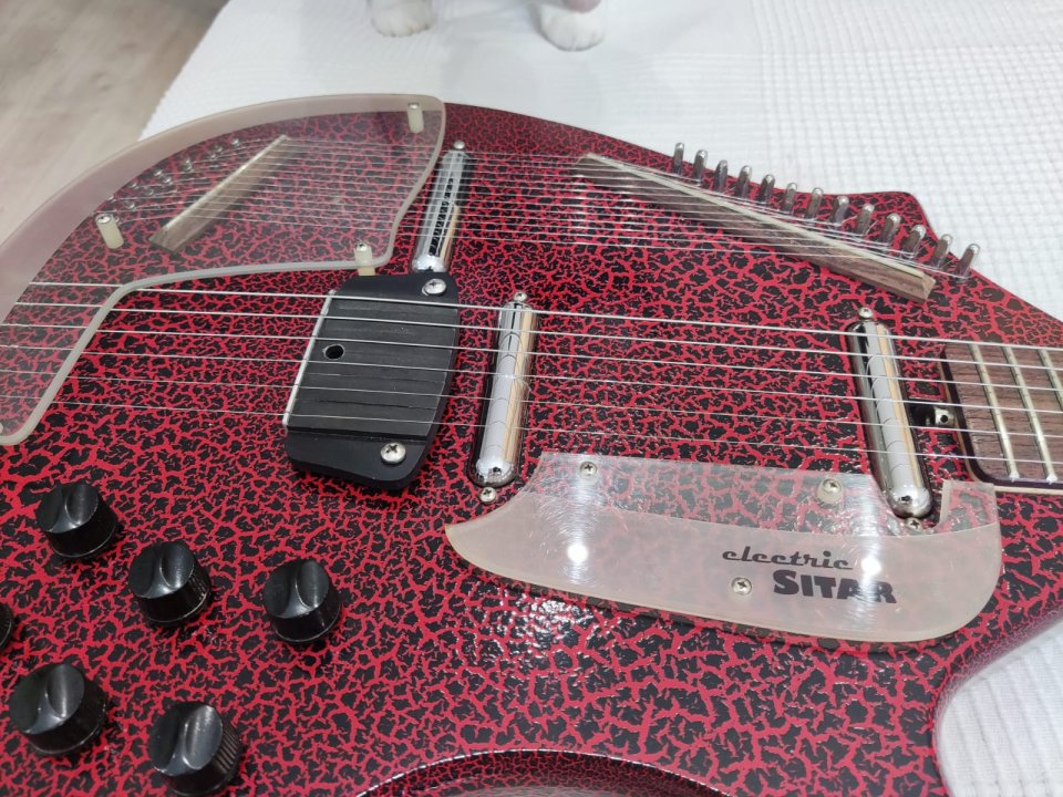Electric Sitar de segunda mano · Foto 2 de 10 · Alicante · 1800 €