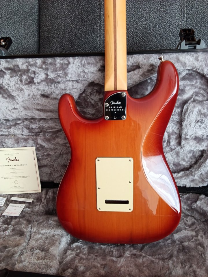 Fender stratocaster 2022 pro 2 made in usa de segunda mano · Foto 4 de 5 · Valladolid · 1500 €