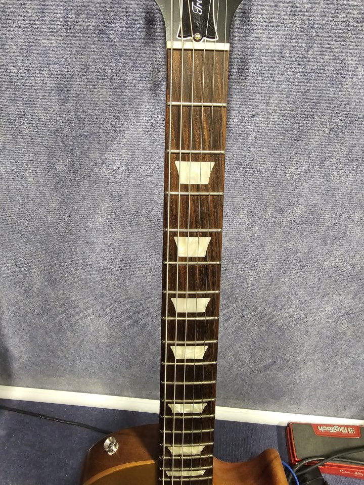 Gibson Les Paul Tribute