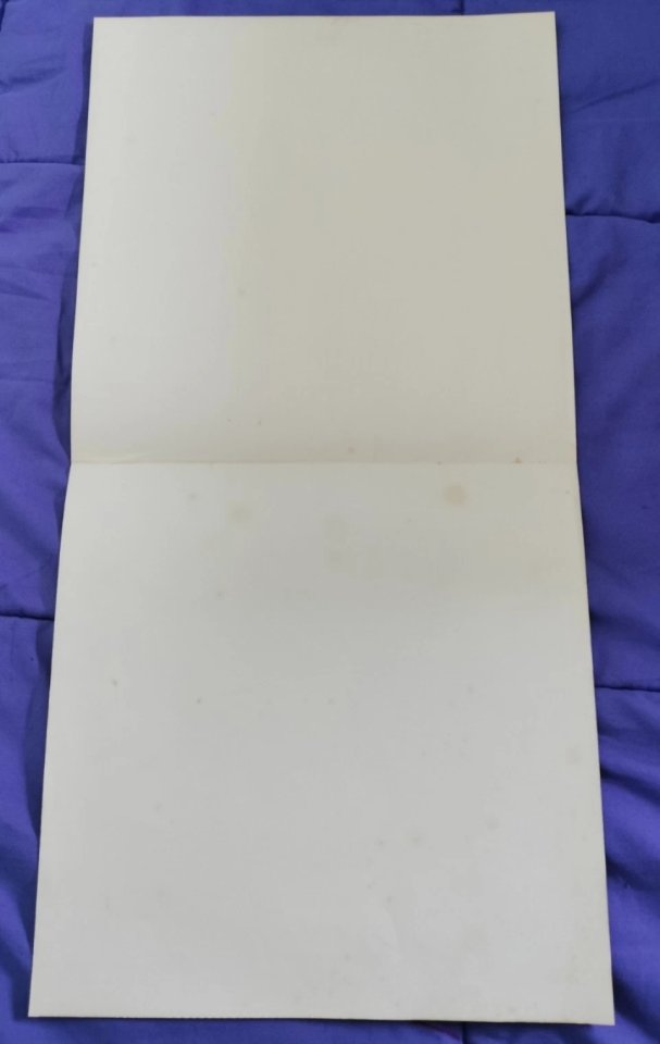 Mad Max - MAS ALLÁ DE LA CUPULA DEL TRUENO - LP + SINGLE