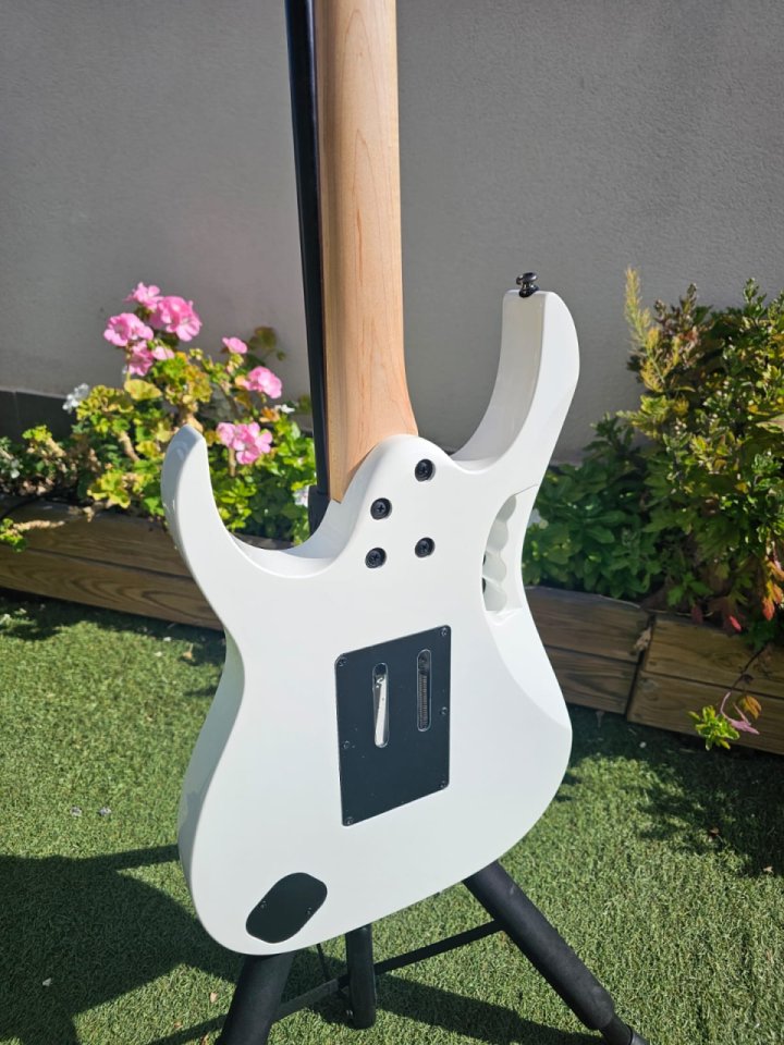 Vendo/Cambio guitarra Ibanez Steve Vai Signature