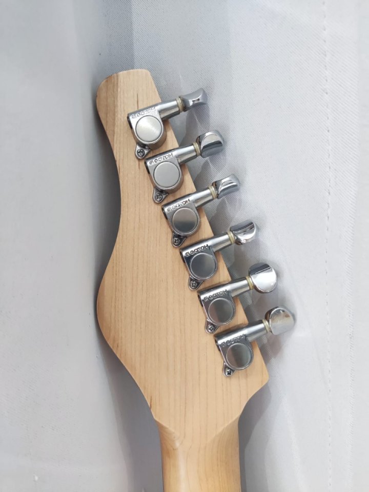 Electric Sitar de segunda mano · Foto 3 de 10 · Alicante · 1800 €